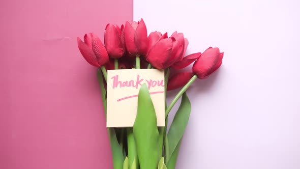 Thank you Message e and Tulip Flower on Color Background