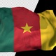 Flag Of Cameroon - VideoHive Item for Sale