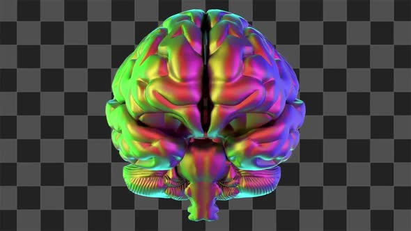 Colorful Brain Rotating alt