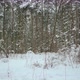 Winter Nature - VideoHive Item for Sale