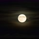 Night Sky with Full Moon in the Clouds - VideoHive Item for Sale