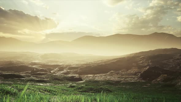 Natural Foggy Landscape In The Morning