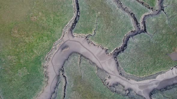 AERIAL: Top down flyover grazing sheep and sea birds on Estuary, Gower, 4K Drone