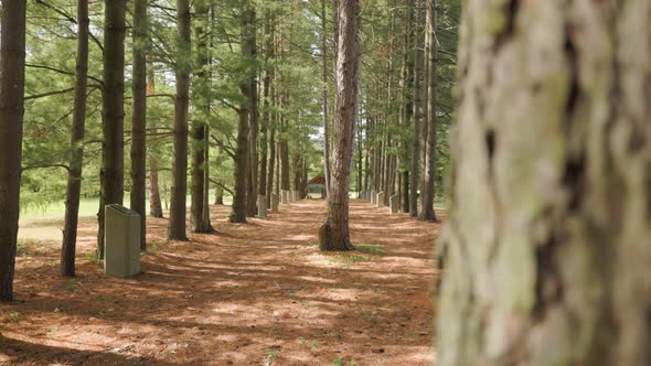 Catholic memorial forest garden with ceremonial meditation stones lined up in a row