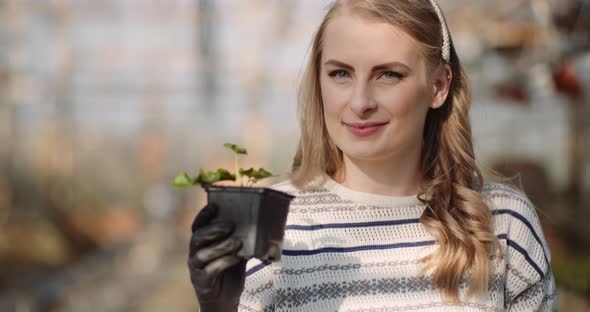 Female Gardener Examining Plants at Greenhouse