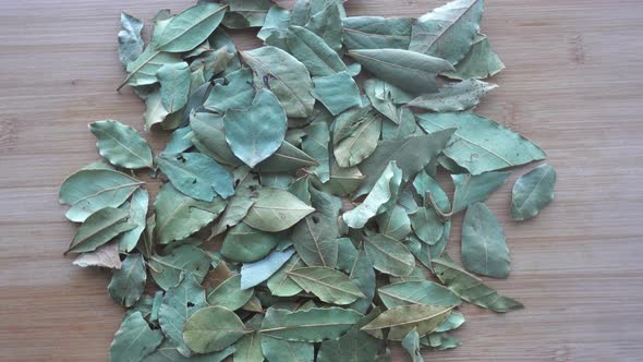 Lots of Laurel Leaves Used for Cooking