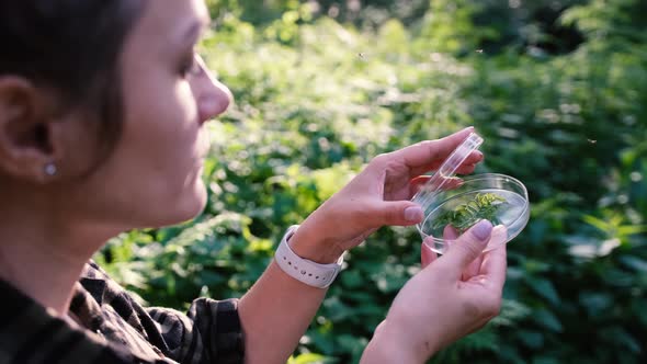 A Biologist Examines a Plant in the Forest