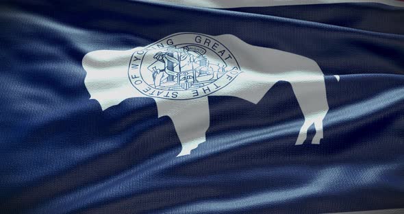 Wyoming state flag waving background