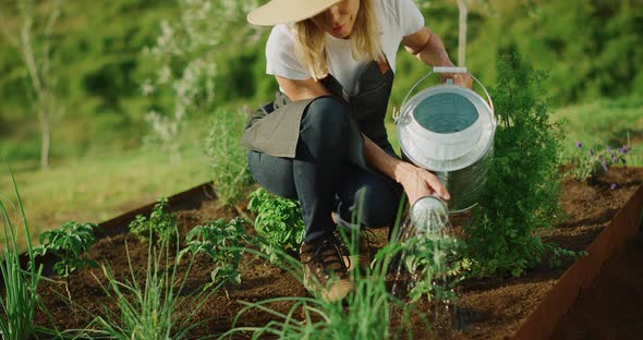 Water, a plants best friend