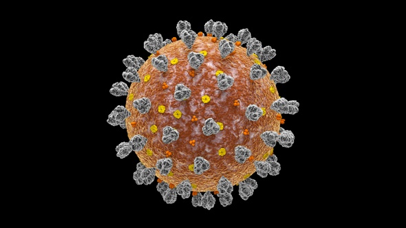 Coronavirus Covid 19 Cell alt
