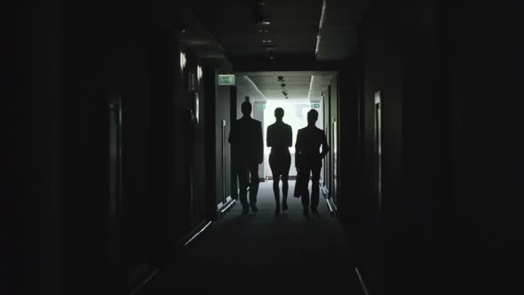 Three Colleagues Walking Together