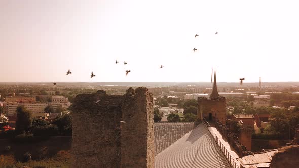 Flying Drone With Birds In Old Town