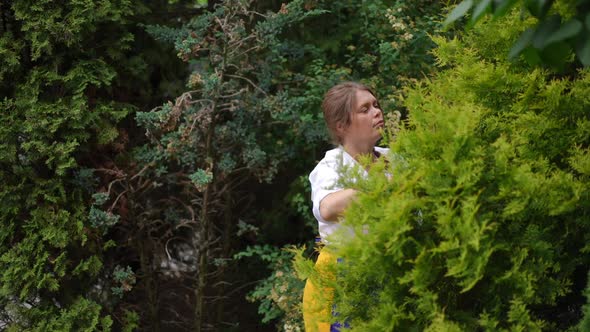 Concentrated Plussize Woman Trimming Trees with Prunning Scissors in Slow Motion Outdoors