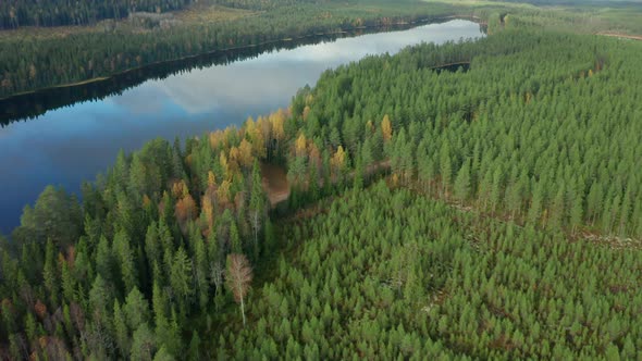 AERIAL TILT UP REVEAL Dalarna, Sweden in the autumn