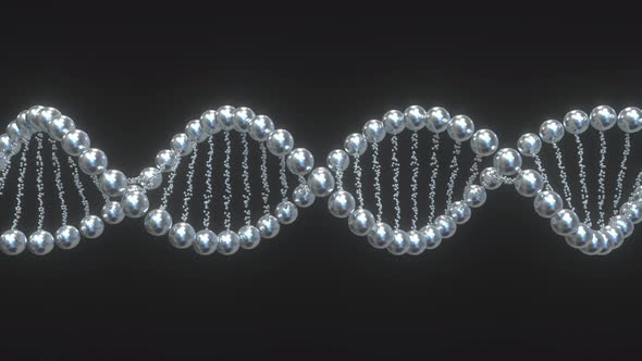 DNA Molecule Model