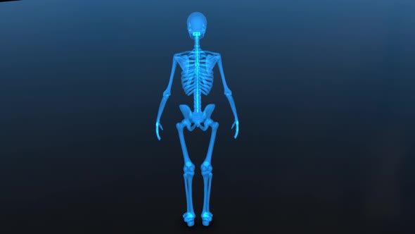 Human Skeleton HUD