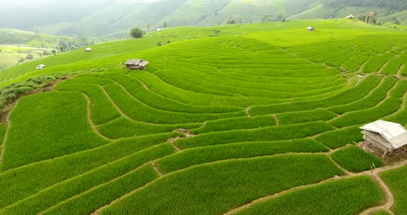 Rice field terrace on mountain agriculture land.