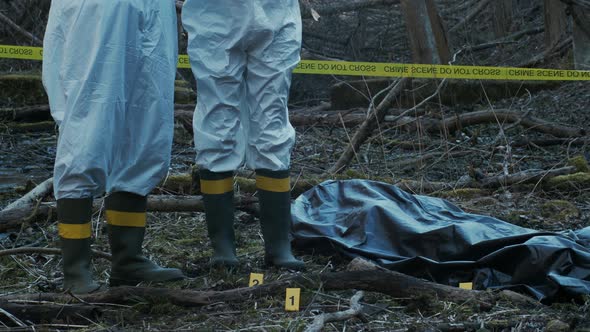 Forensic specialists working in the forest. Crime scene and police concept.