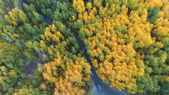 Aerial view of cars on road driving through colorful forest