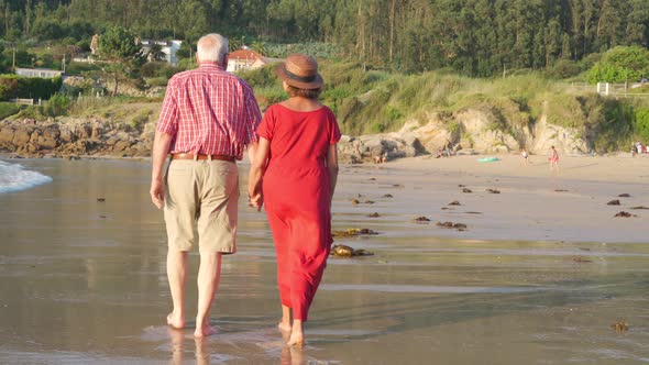 Anonymous senior couple standing on beach by waving sea