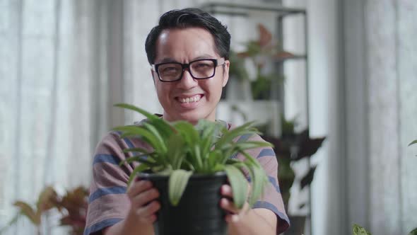 Close Up Of Smiling Asian Man Holding And Showing The Plant To Camera At Home