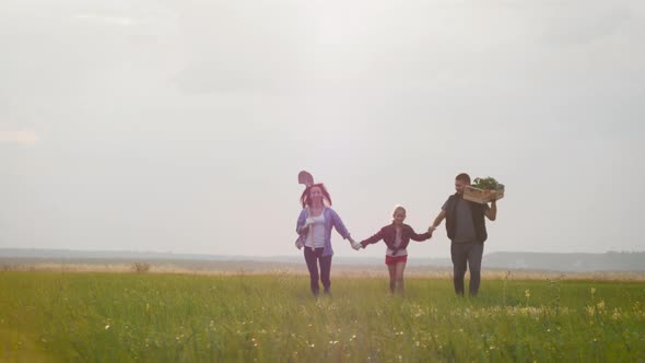 Family Farmers Are Walking Along the Field at Sunset, Carrying Box with Fresh Vegetables and Tools