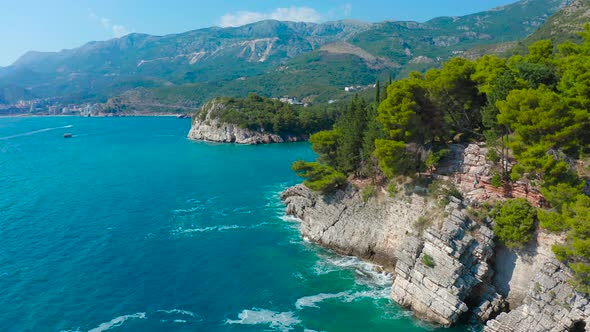 Landscape on Montenegrin Coast with Clear Water and Pine Trees Around