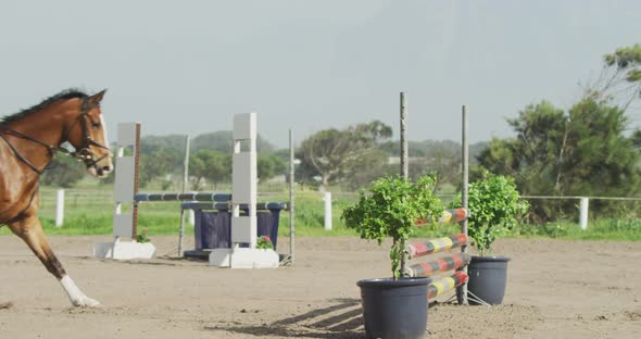 African American man jumping an obstacle with his Dressage horse