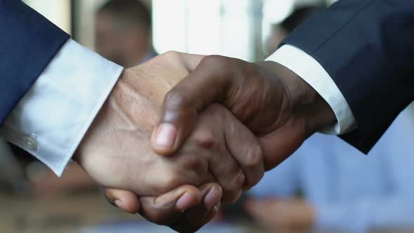 Afro-American and Caucasian Businessman Shaking Hands, International Cooperation