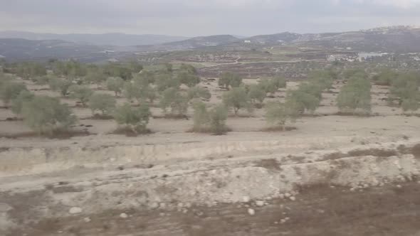 Elevated view of vegetations in the outskirts of Arraba Palestine Middle East