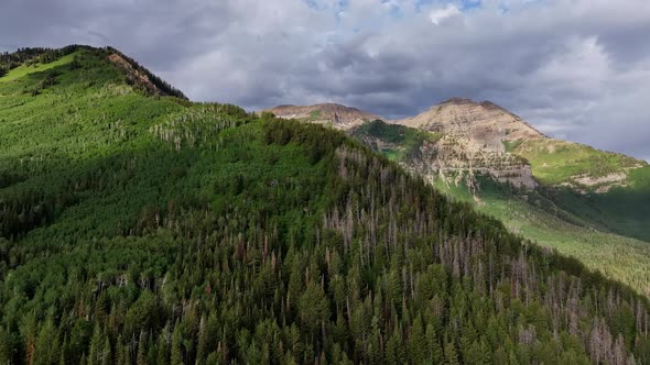 Aerial view of Timpanogos Mountain surrounded in green forest