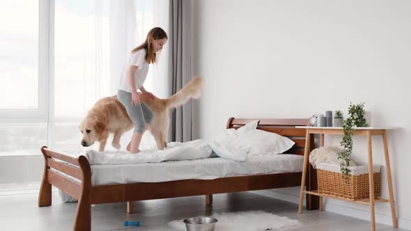 Girl Jumping in the Bed with Golden Retriever Dog