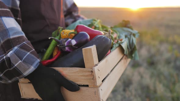 Crop of Vegetables