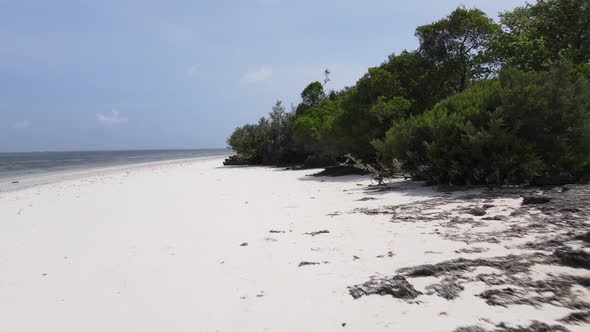 Zanzibar Tanzania  Empty Beach on the Ocean