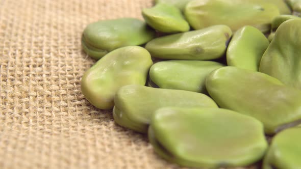 Dry broad fava beans on rustic burlap. Macro. Legume family