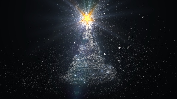 4 Star Transition Pack alt