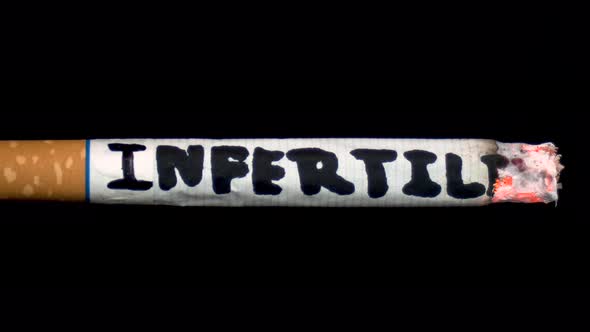 A Cigarette Smolders with the Word "Infertility". Cigarette on a Black Isolated Background