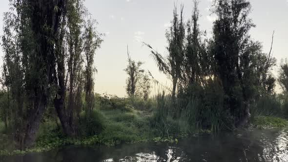 Beautiful Sunrise during Magic Hour at Xochimilco, Mexico City 02 - Sun Rays