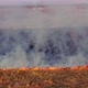 Aerial Top View of a Grass Fire - VideoHive Item for Sale