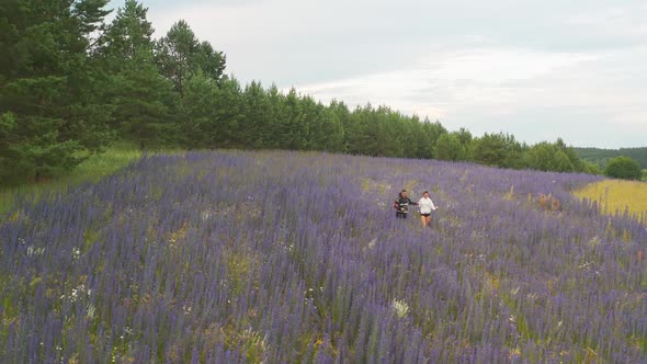 Handsome Guy and Girl in Blooming Flowers