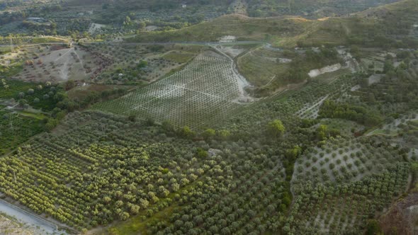 Aspromonte Coast