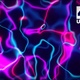 Abstract Blue and Pink Neon Lines Glowing Wavy liquid flow reflection 4k Background Loop - VideoHive Item for Sale