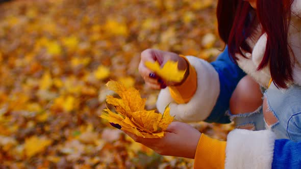 Unrecognizable Woman Collects Autumn Leaves in Forest