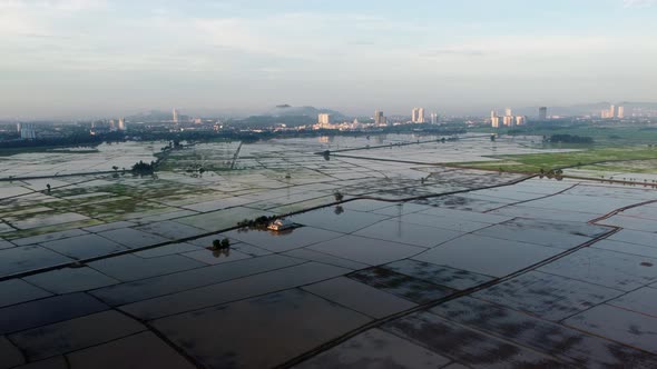 Aerial view sunshine over water paddy field