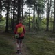 female hiker walking on a trail in the woods, moving shot, camera tracking /dolly in on a steadicam - VideoHive Item for Sale