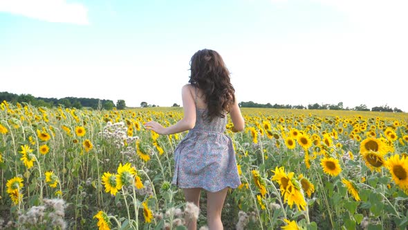 Unrecognizable Beautiful Girl Running on Yellow Sunflower Field. Happy Young Woman Jogging Through