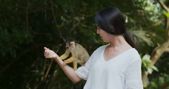 Woman feeding squirrel Monkey in park