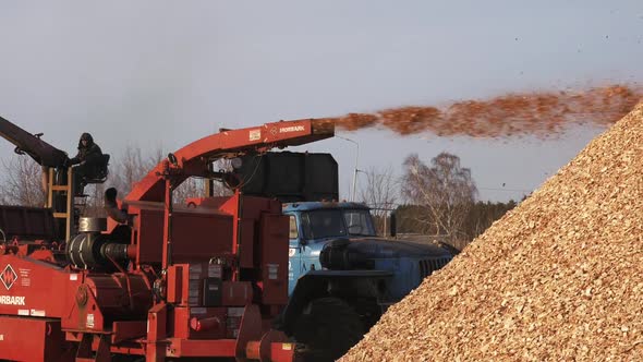 Sawmill Process From Log To Wood Fibre