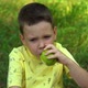 The boy is eating a delicious apple in the park among the big green trees in the background - VideoHive Item for Sale