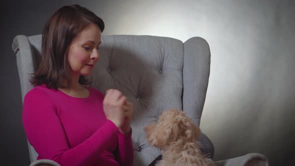 Beautiful Woman Is Playing with a Small Puppy on Chair